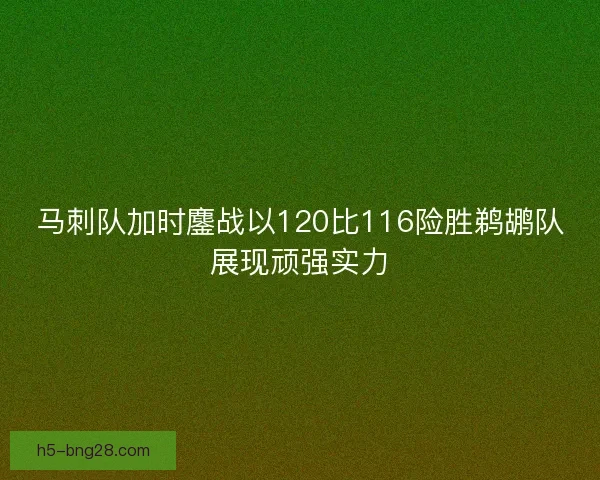 马刺队加时鏖战以120比116险胜鹈鹕队展现顽强实力